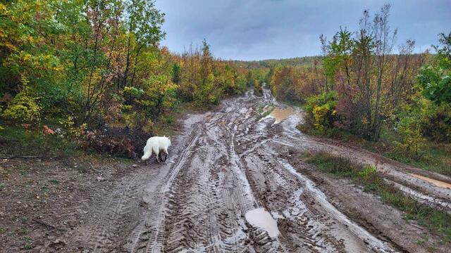 Foto: Michael Eichlberger