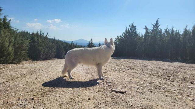 Foto: Michael Eichlberger