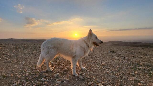 Foto: Michael Eichlberger