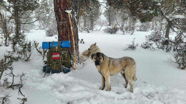 Foto: Michael Eichlberger