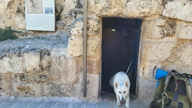 Foto: Michael Eichlberger