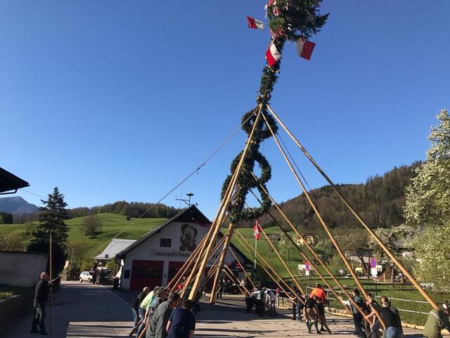 Maibaumaufstellen im Bad Ischler Ortsteil Perneck | Foto: ff-badischl.at