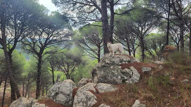 Foto: Michael Eichlberger