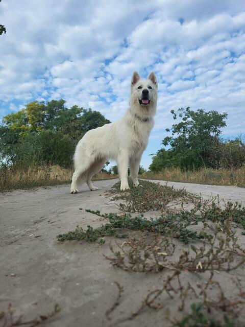 Foto: Michael Eichlberger