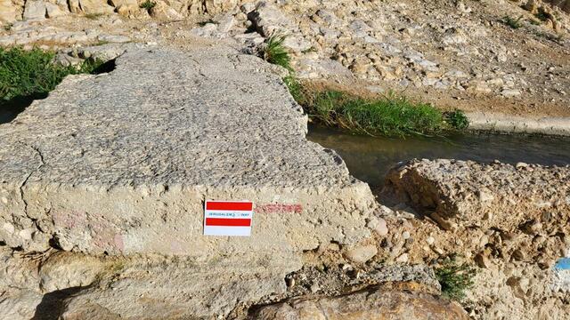 Foto: Michael Eichlberger