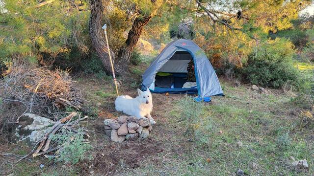 Foto: Michael Eichlberger