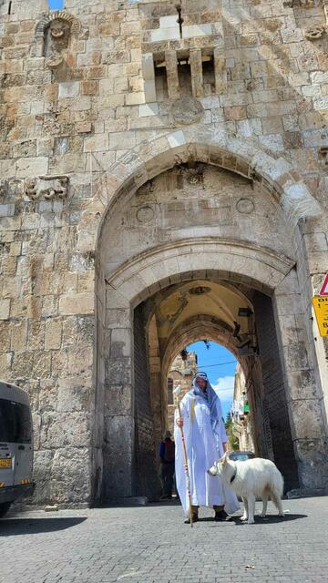 Beim Löwentor.  | Foto: Michael Eichlberger