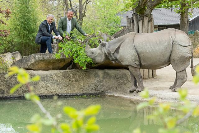 V.l.: ÖBf-Vorstand Andreas Gruber und Tiergartendirektor Stephan Hering-Hagenbeck bei der Fütterung der Panzernashörner. | Foto: Tiergarten Schönbrunn/D. Zupanc