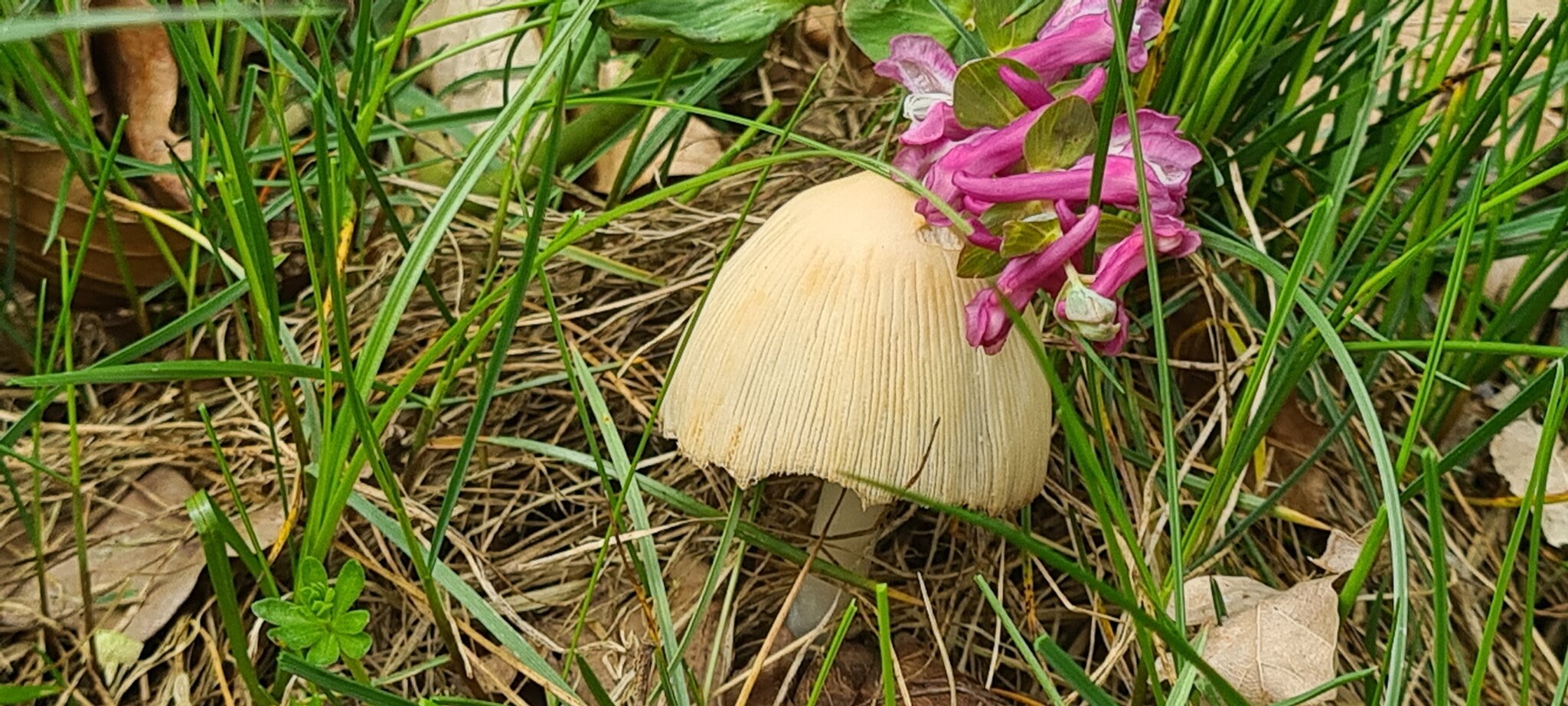 Mit offenen Augen durch die Welt gehen open your eyes Rohrbach