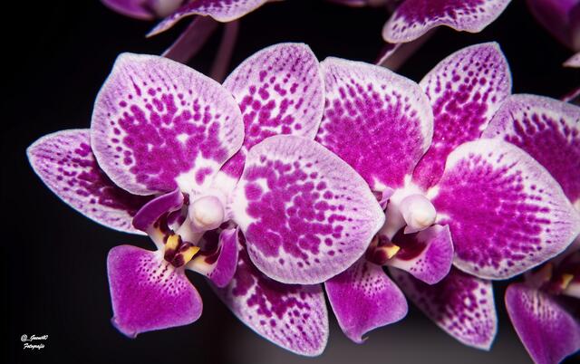 ....noch bin ich trocken ......