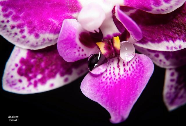 .....jetzt nur nit runterrollen,ein Foto geht sich aus .....