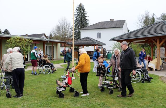 Mit Rollstühlen und Rollator umrundeten die Senioren den Maibaum im Pflegezentrum Kalsdorf. | Foto: Edith Ertl
