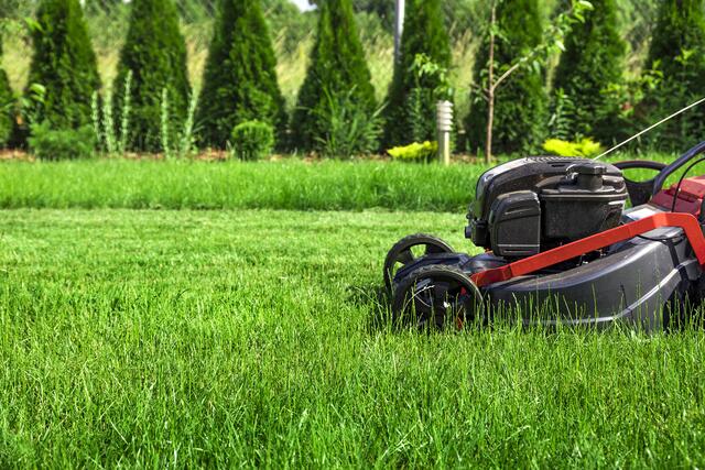 Das Mähen mit Sense, Handmäher und Grasschere überleben Schmetterlinge, Bienen und Heuschrecken eher als eine Mahd mit Rasenmäher oder Motorsense. | Foto: mblach_panthermedia. net