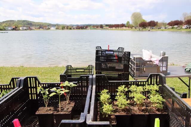 Foto: Martin Wurglits