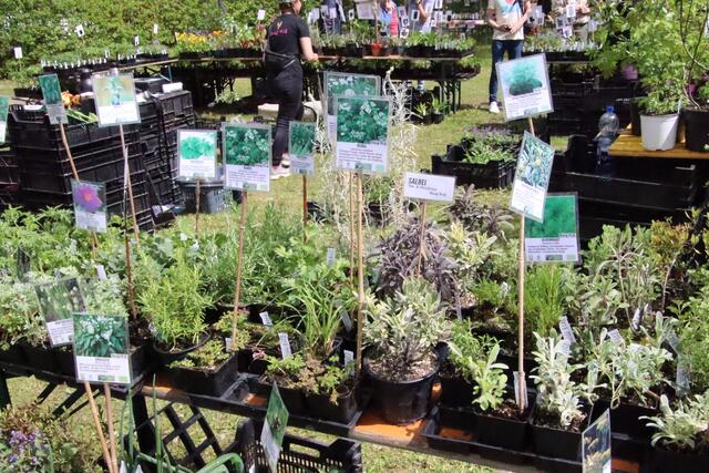 Foto: Martin Wurglits