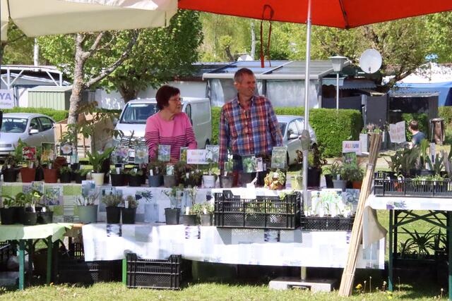 Foto: Martin Wurglits