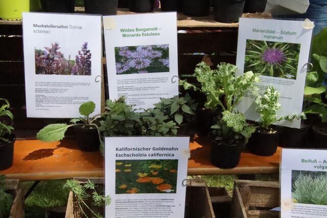 Foto: Martin Wurglits