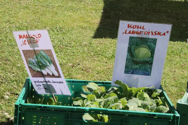 Foto: Martin Wurglits