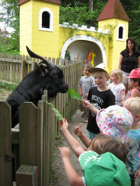 Foto: Michaela Meister