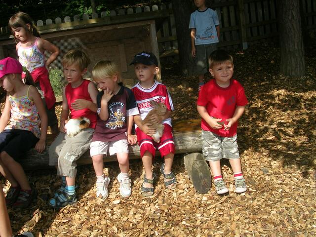 Foto: Michaela Meister