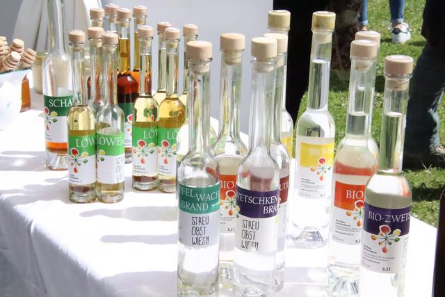 Foto: Martin Wurglits