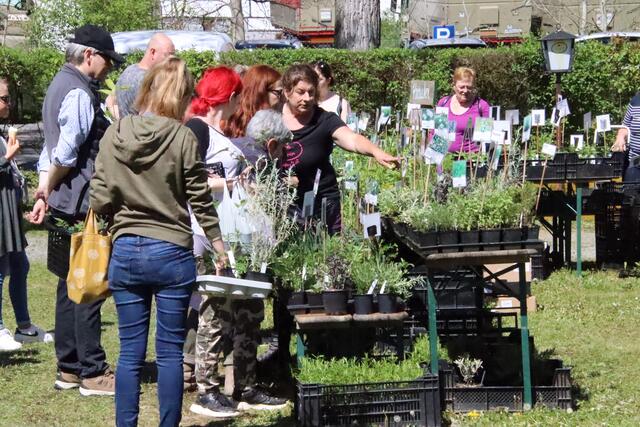 Foto: Martin Wurglits