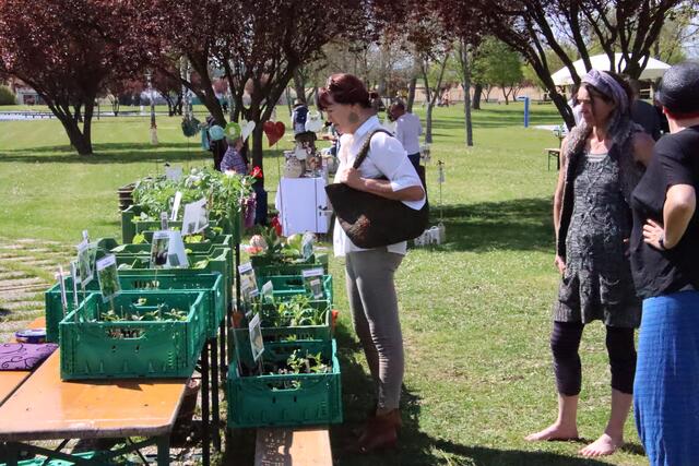 Foto: Martin Wurglits