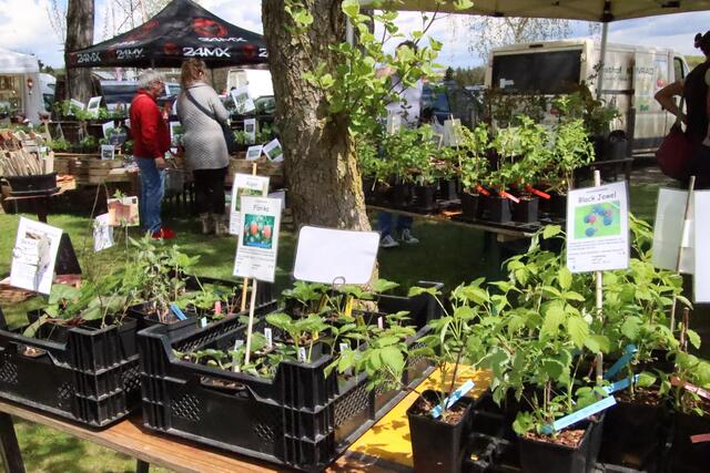 Foto: Martin Wurglits