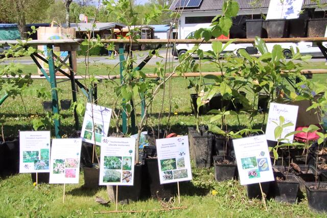 Foto: Martin Wurglits