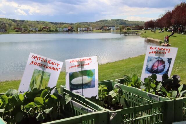 Foto: Martin Wurglits