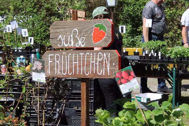 Foto: Martin Wurglits