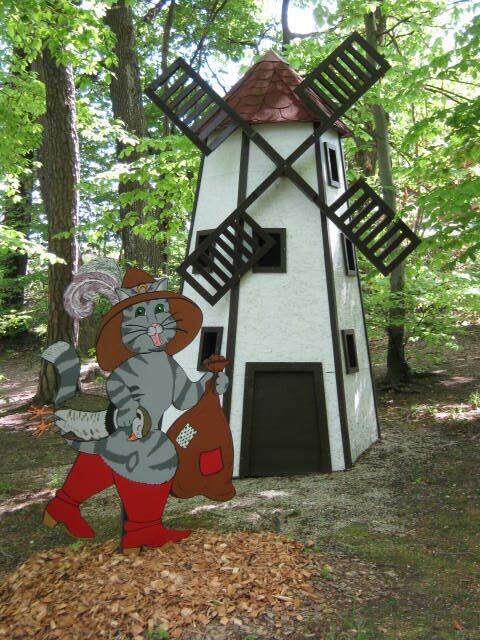 Foto: Michaela Meister