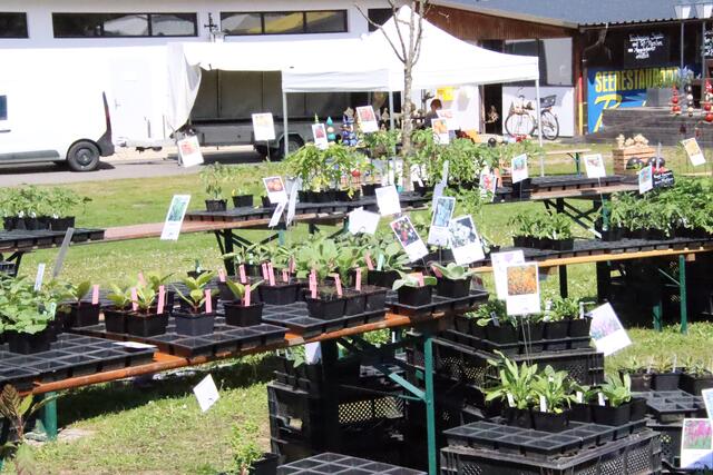 Foto: Martin Wurglits