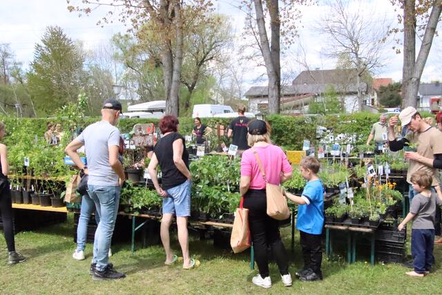 Foto: Martin Wurglits