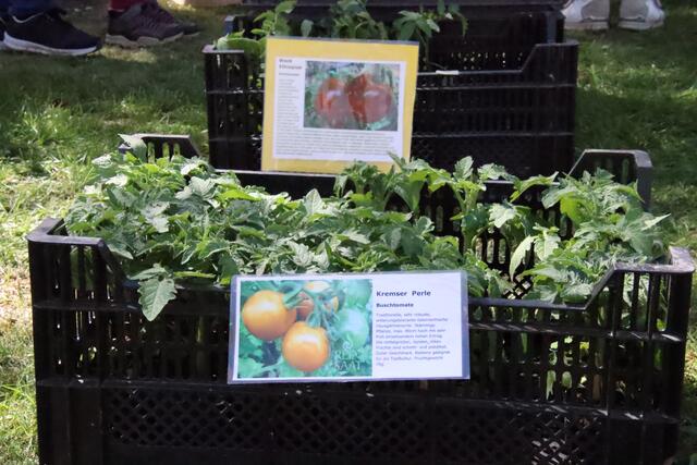 Foto: Martin Wurglits