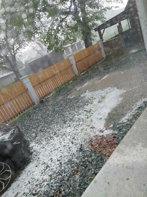 Eine Momentaufnahme aus Neustift bei Güssing. | Foto: Claudia Plunser