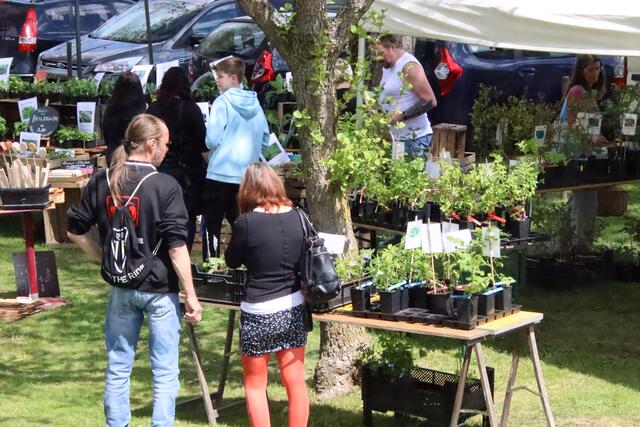 Foto: Martin Wurglits