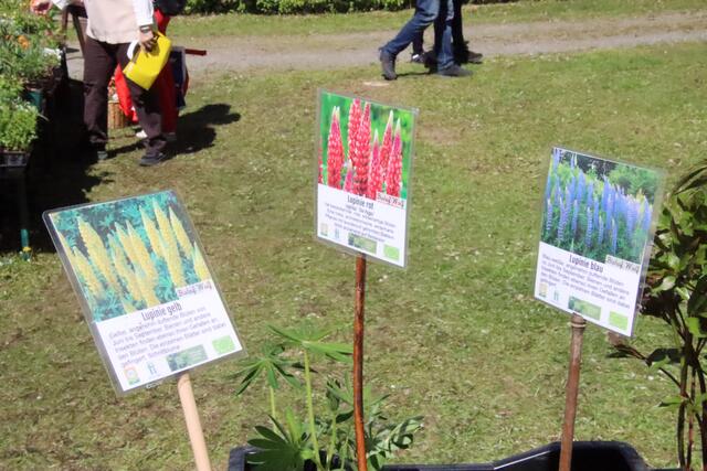 Foto: Martin Wurglits