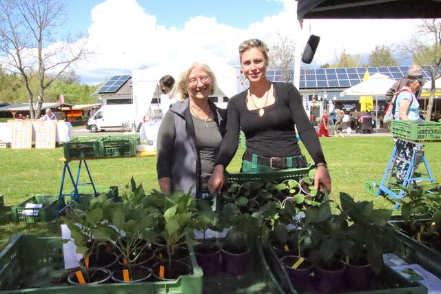 Markt-Initiatorin Brigitte Gerger (links) von der Wieseninitiative am Stand von Charlotte Weber aus Winten. | Foto: Martin Wurglits