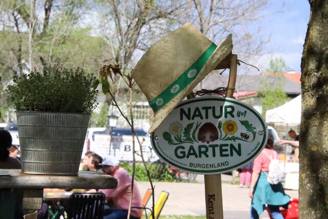 Foto: Martin Wurglits