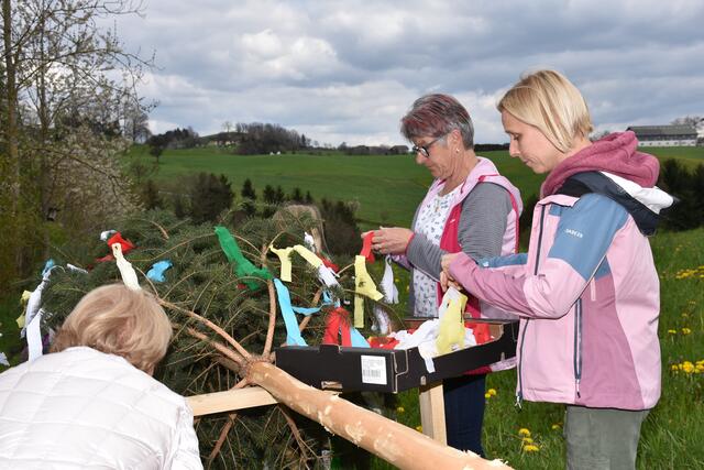 Maibaum auf der Stüwa He. | Foto: Zinterhof