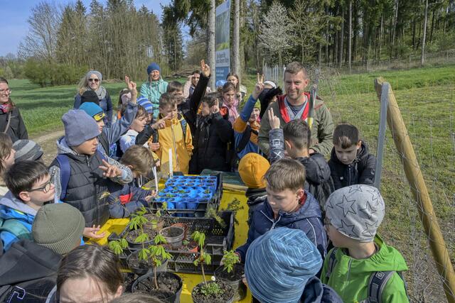 Foto: Peter Kainrath