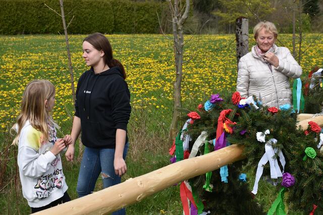 Maibaum auf der Stüwa He. | Foto: Zinterhof