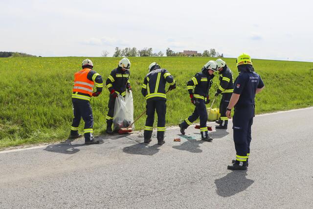 Foto: Markus Bäumler/zema-medien.de