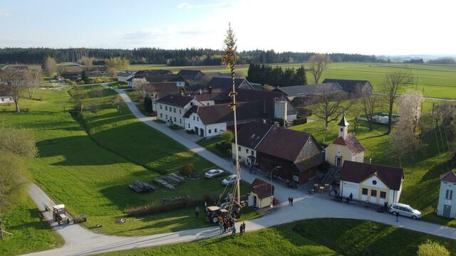 Im Gerüst verankert und weithin sichtbar, unser Maibaum