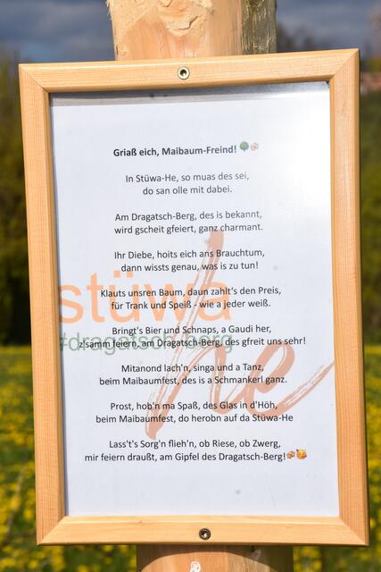 Maibaum auf der Stüwa He. | Foto: Zinterhof