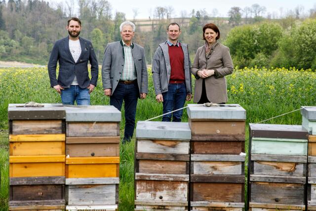 Imker Fabian Mayr, LK OÖ Vize-Präsident Karl Grabmayr, Rapsbauer Franz Lettner und Agrar-Landesrätin Michaela Langer-Weninger | Foto: Land OÖ/Margot Haag