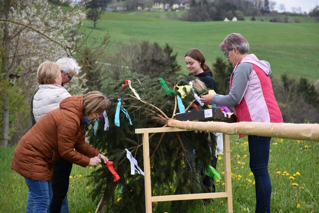 Maibaum auf der Stüwa He. | Foto: Zinterhof