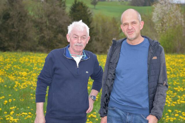 Maibaum auf der Stüwa He. | Foto: Zinterhof