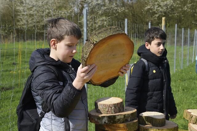 Foto: Peter Kainrath